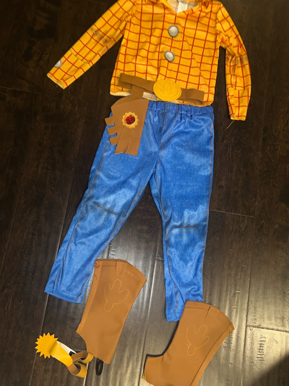 Disney Woody Costume